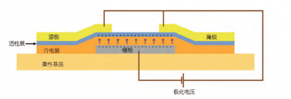 博鱼官网穿戴智能电子什么是穿戴智能电子？穿戴智能电子的最新报道(图1)